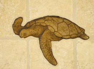 TURTLE 2