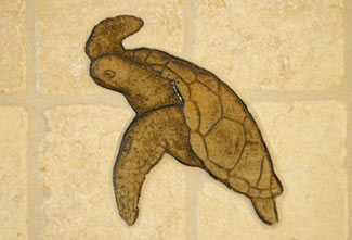 TURTLE 1